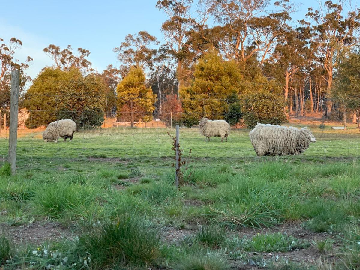 Couples Retreat With Mountain View Near Hobart Hotel Sandford Eksteriør billede